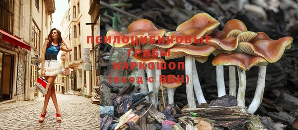 герыч Бородино