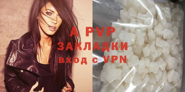 эйфоретик Богданович