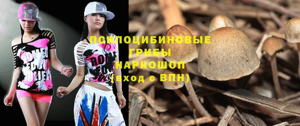 эйфоретик Богданович