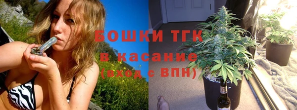 эйфоретик Богданович