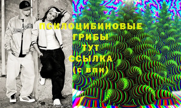 экстази Богородск